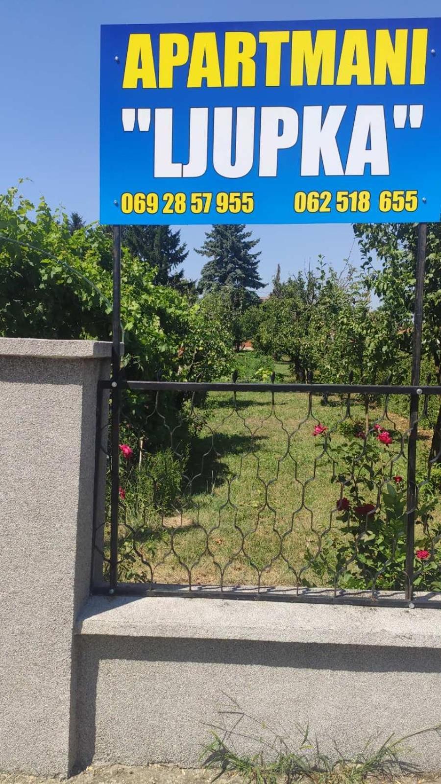 Apartment Ljupka Pančevo Екстериор снимка