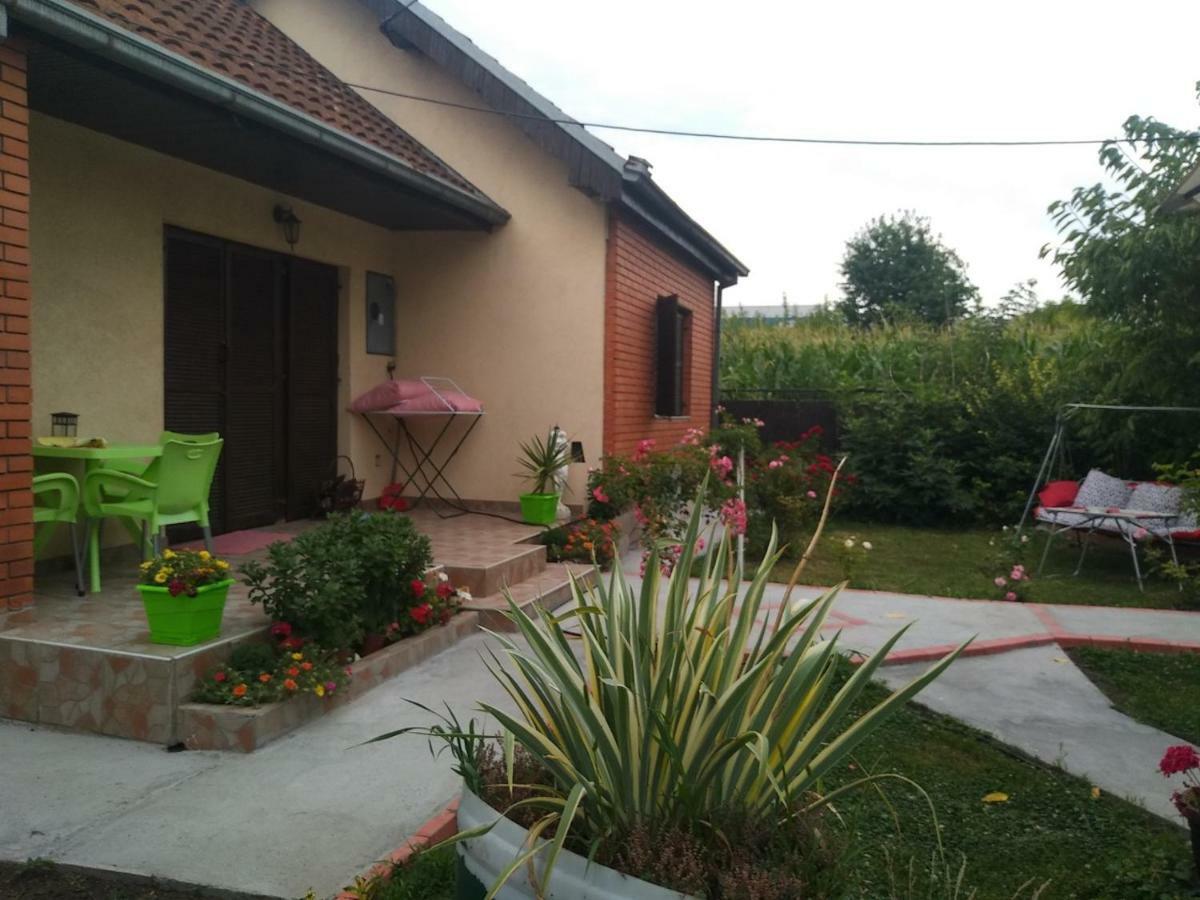 Apartment Ljupka Pančevo Екстериор снимка
