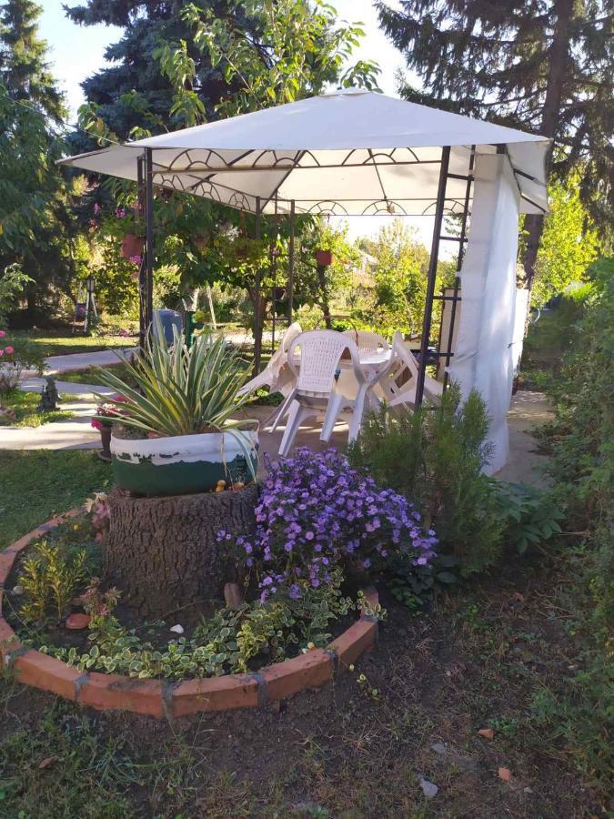 Apartment Ljupka Pančevo Екстериор снимка