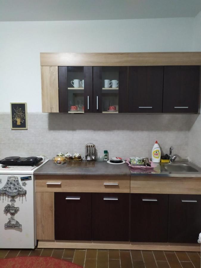 Apartment Ljupka Pančevo Екстериор снимка